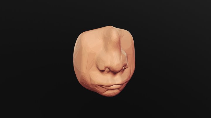 SculptJanuary Day 01 - Mouth and Eyes 3D Model