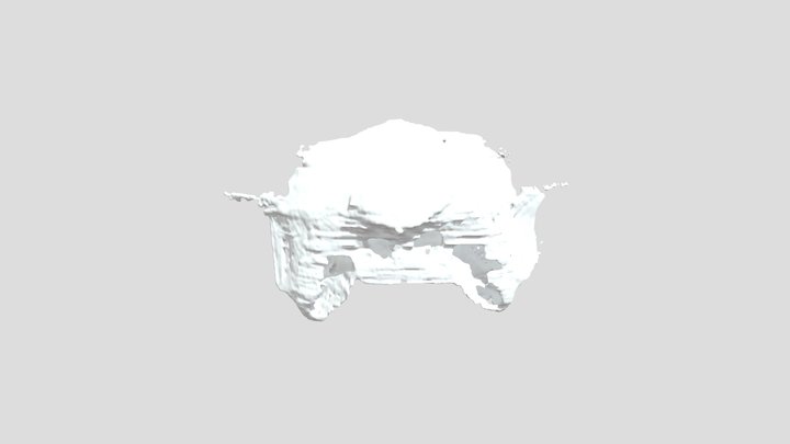 Hatchling Gavialis Supraoccipital 3D Model