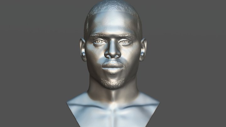 Chris Brown bust for 3D printing 3D Model