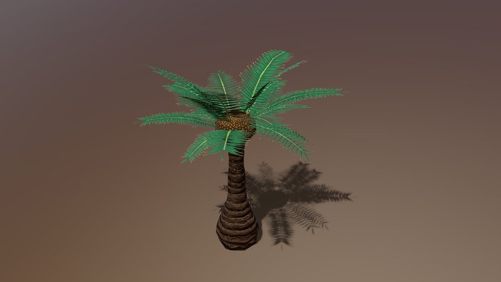 Palm Test 3D Model