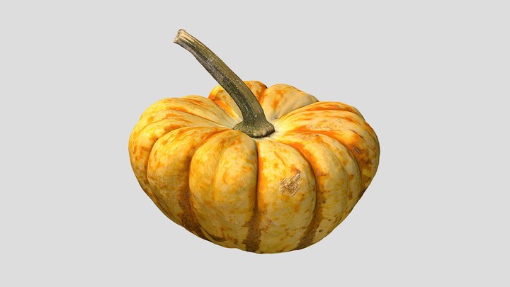 Small Pumpkin 10-18-2019 3D Model