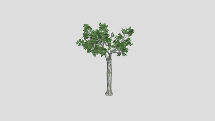 Reduced20 Tree Leaves Original 3D Model