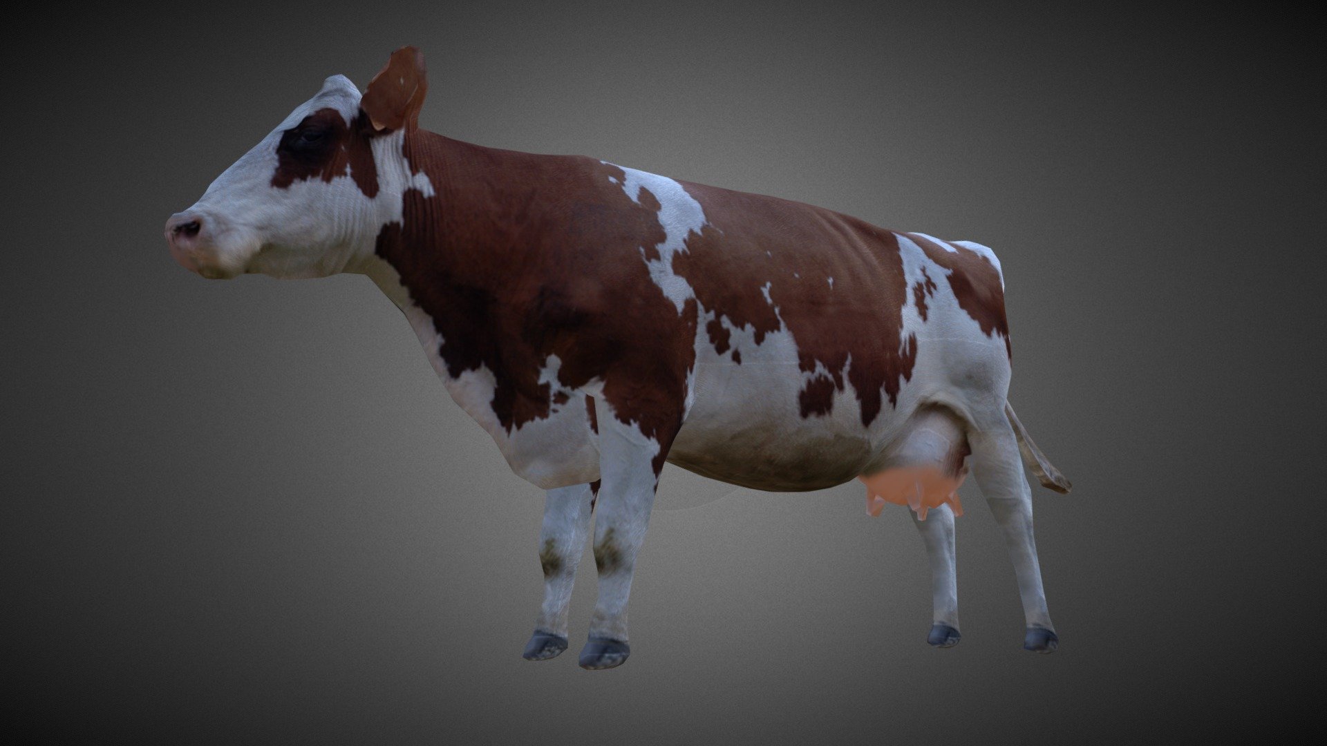 Cow Download Free 3d Model By Josué Boisvert Josueboisvert [99d333e] Sketchfab