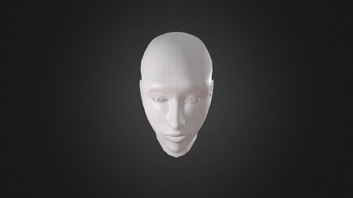 Head 3D Model