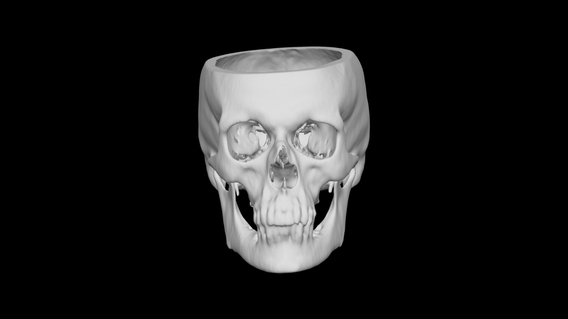 Skull Male 75yo