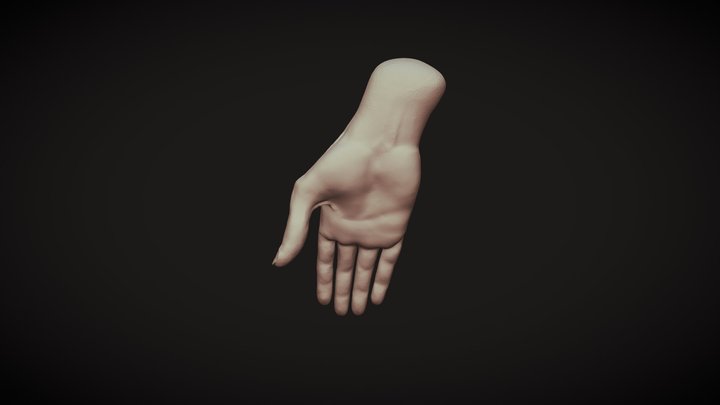 Women's Hand (Right) 3D Model