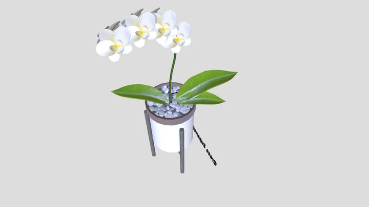 final 3D Model