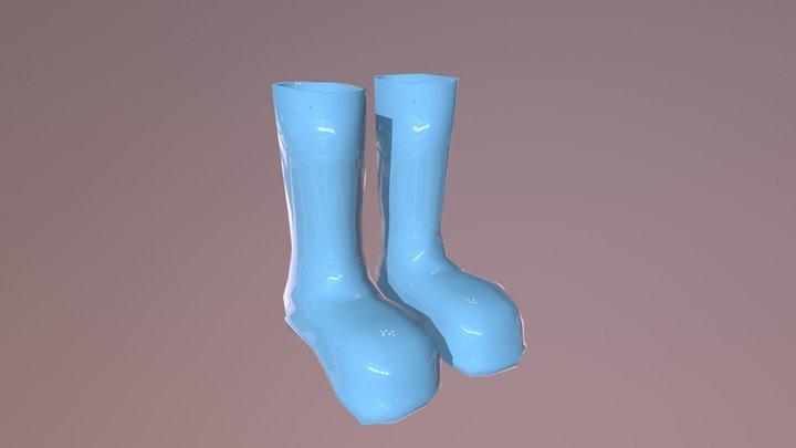 Rain Boots 3D Model