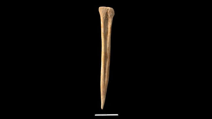 Bone-tool 3D models - Sketchfab