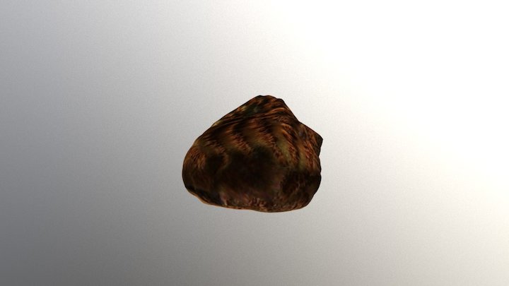 Copper plated  brain coral 3D Model