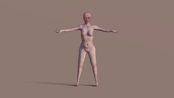 Ann 3D Model