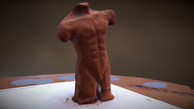 Bust Sculpt 3D Model