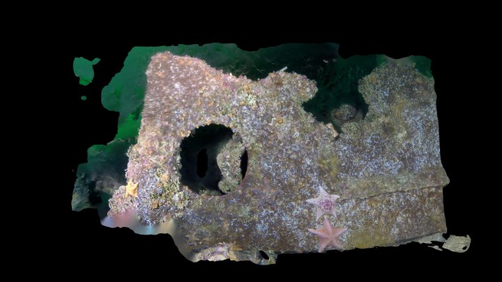 Mating Amtracks Detail 3D Model