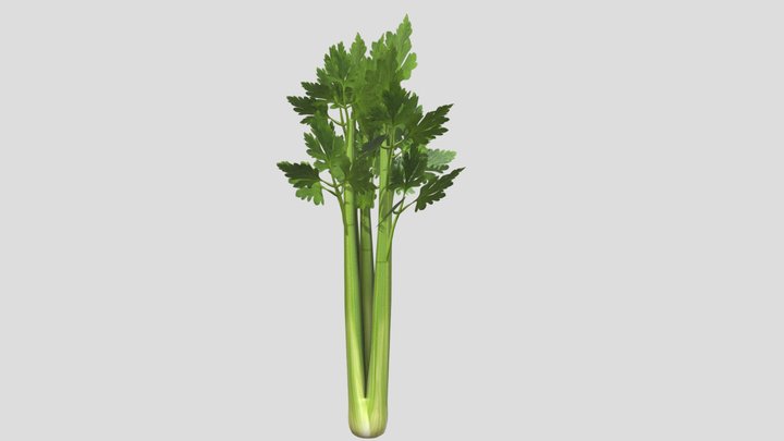 Celery Low Poly PBR Realistic 3D Model