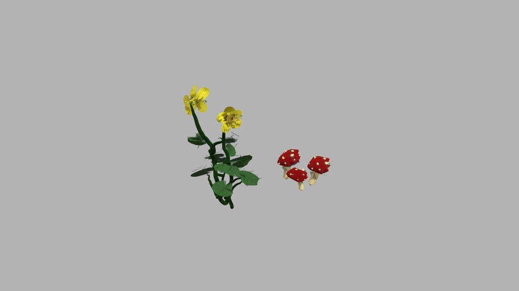 Kingcups and Toadstools