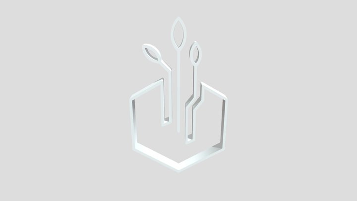 Eco Hexcoin Justlogo 3D Model