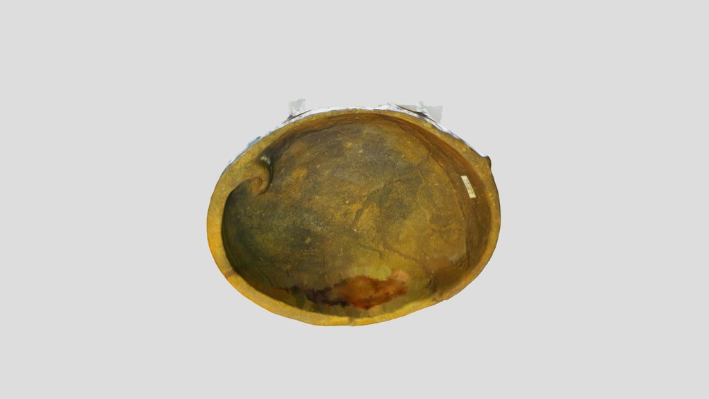 アワビ形土器（千葉市加曽利貝塚）観察記録3Dモデル