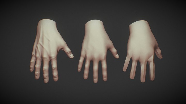 Male Hand 3D model 3D Model