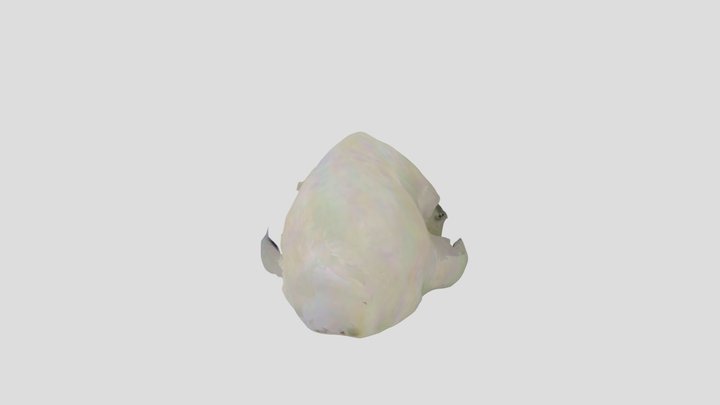 Cool skull 3D Model