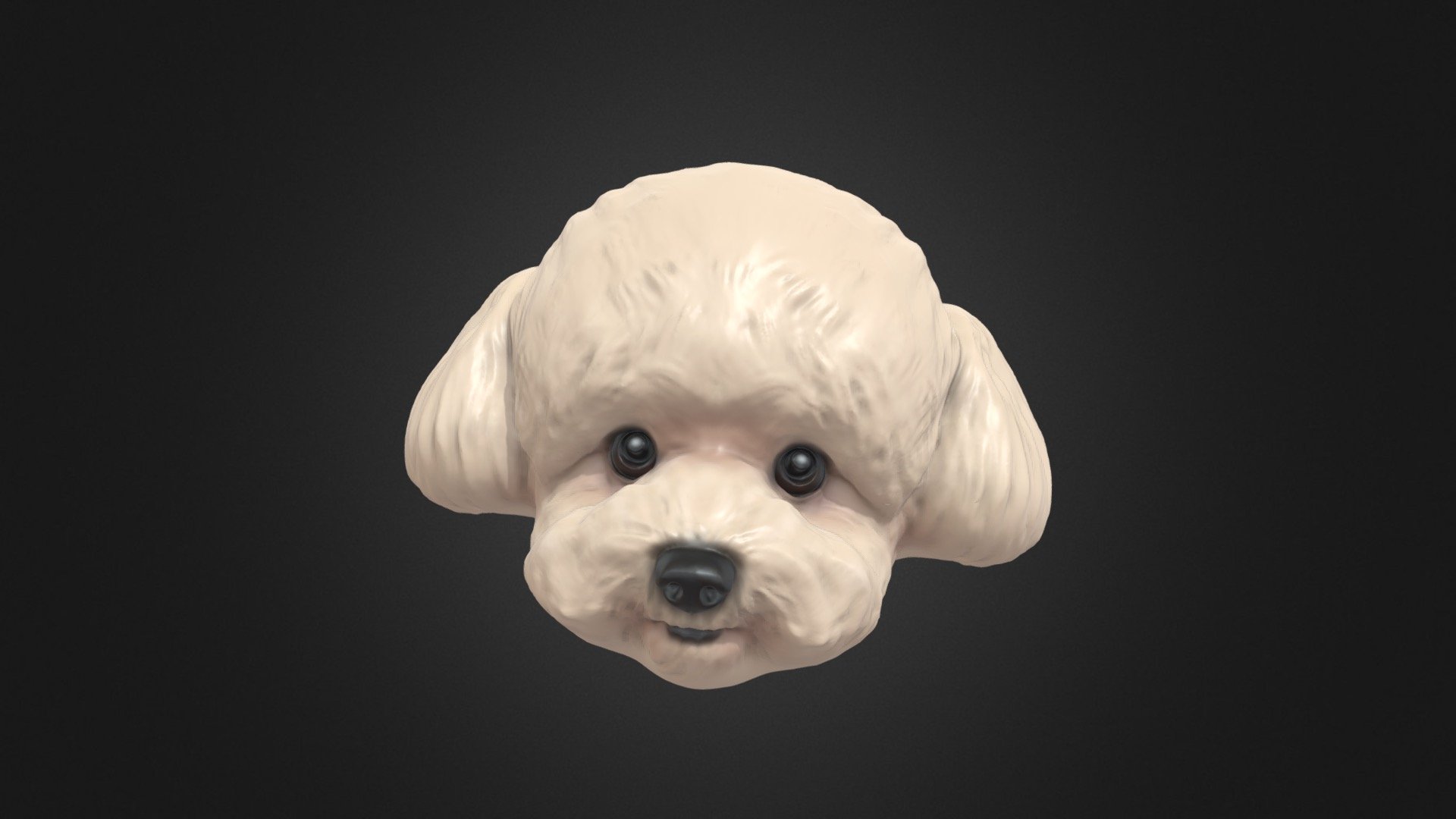 Ruby's poodle model