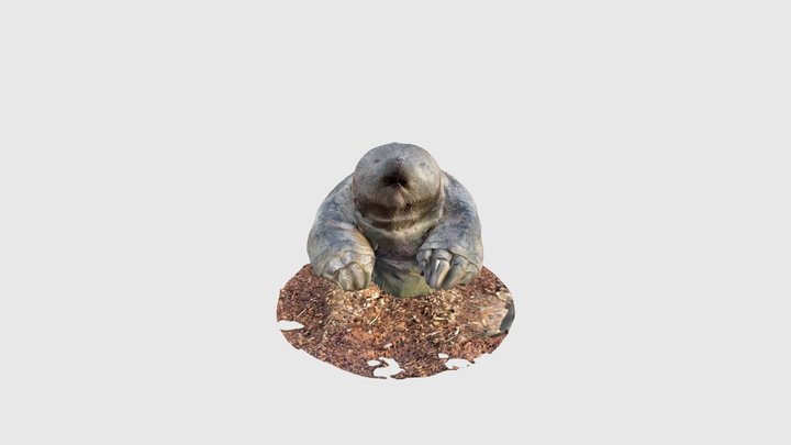 Wooden carving of a mole 3D Model