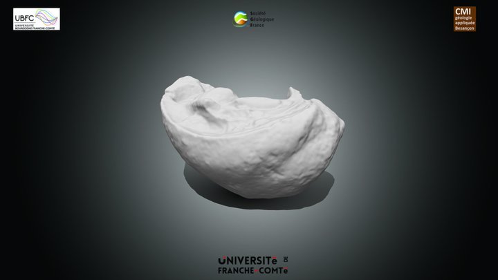 Diceras_ Kimm_ Valefin_39 – Kostenloses 3D-Modell STL