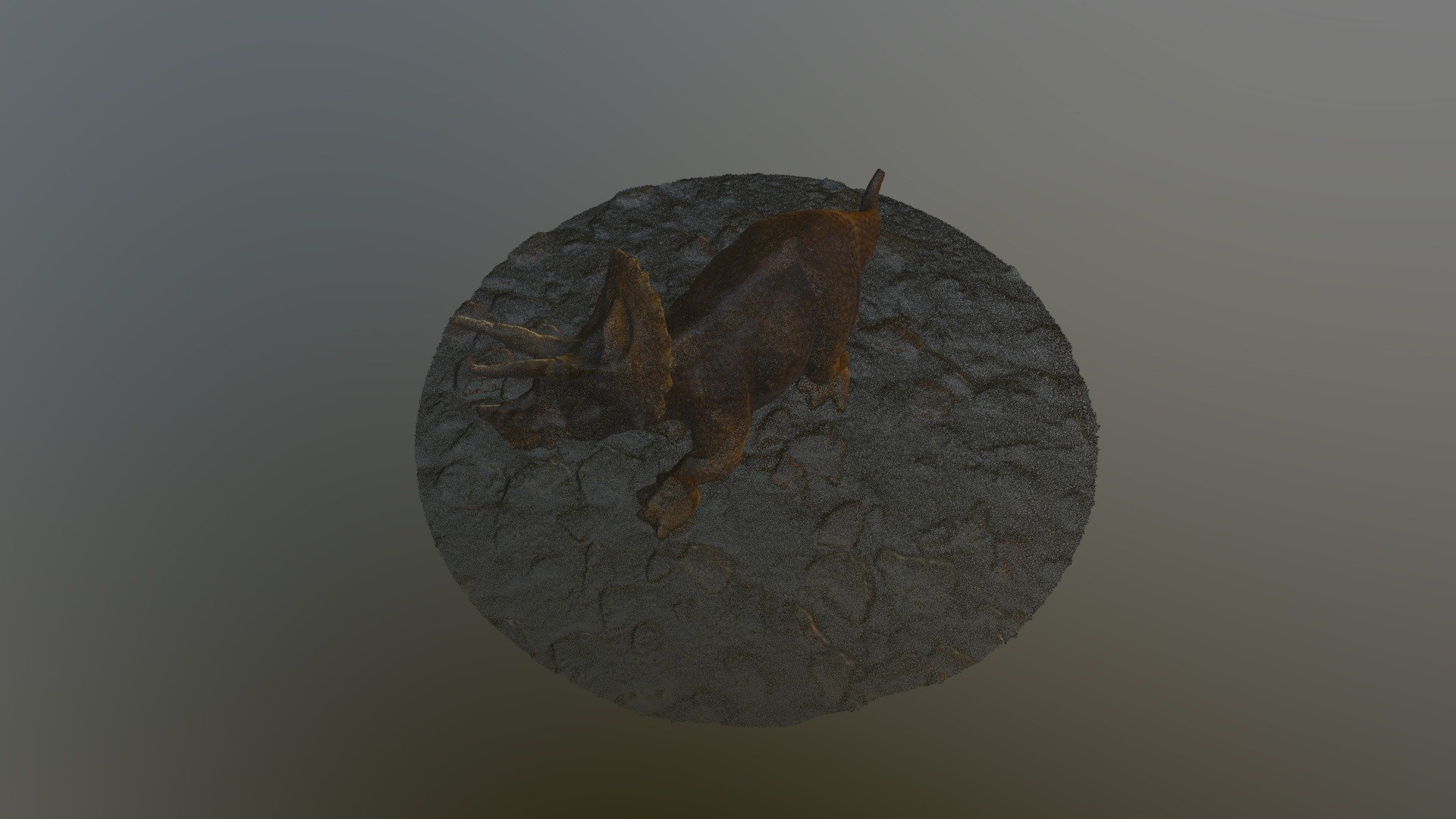 DINO Colour