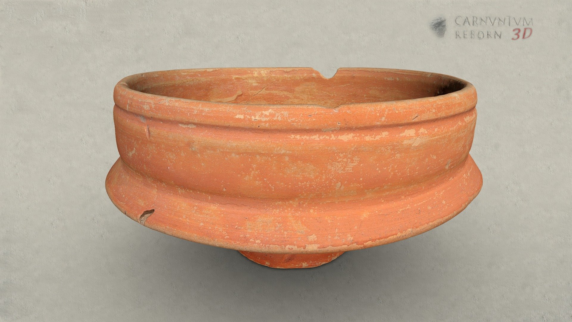 Schale — Sketchfab embed 3D viewer