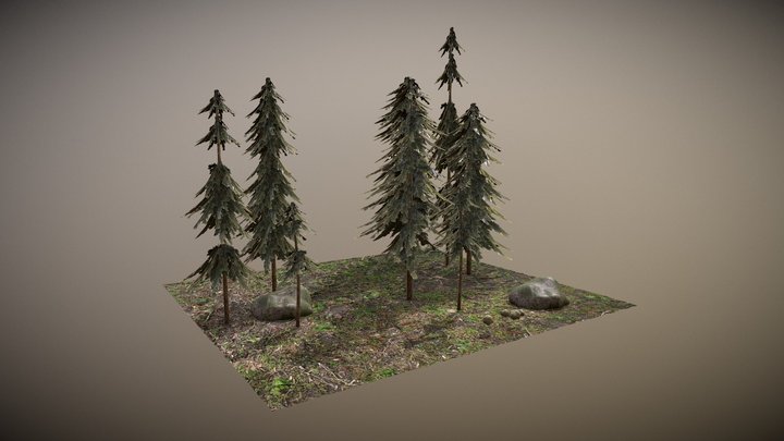 Low Poly Pine Tree 3D Model