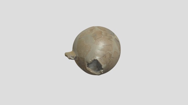 P3834 3D Model