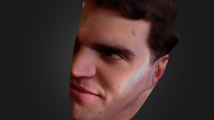 niels 3D Model