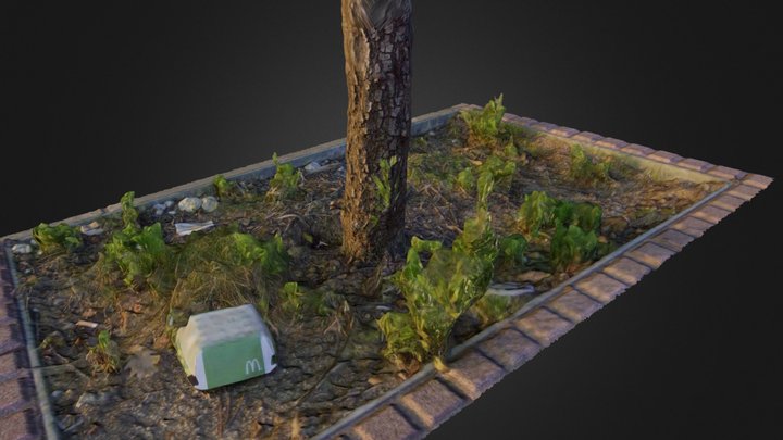 Suburban ecosystem 3D Model