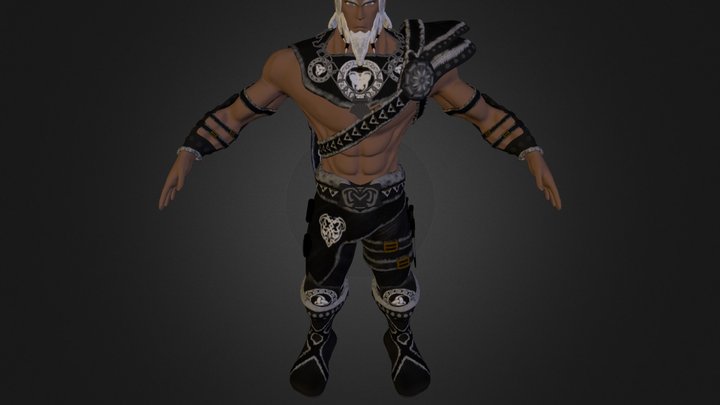 Viking 3D Model
