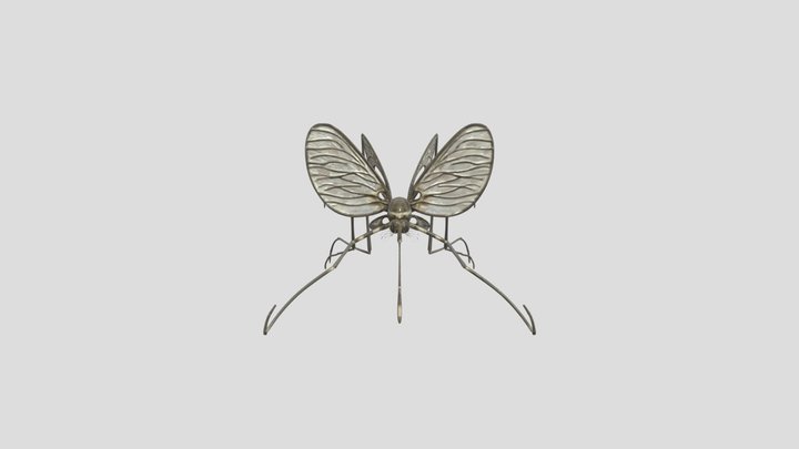 Culiseta annulata 3D Model