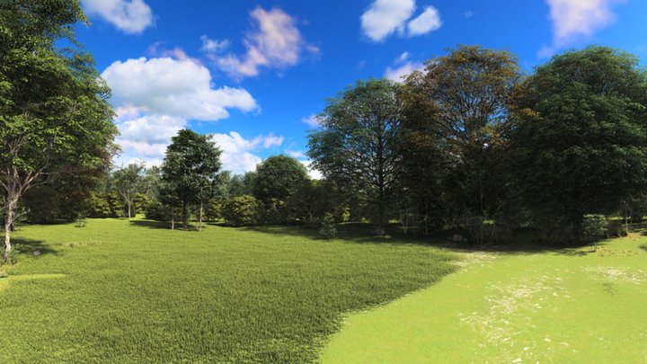 HDRI - SKY BOX 8K - FOREST WITH CLEAR BLUE SKY 3D Model