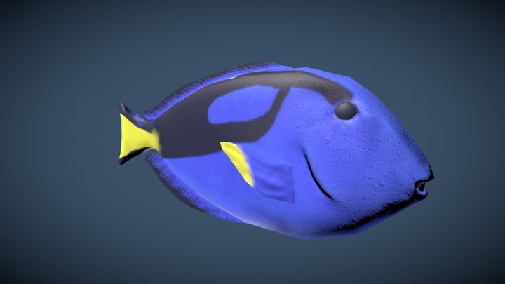 Blue Tang Low Res 3D Model