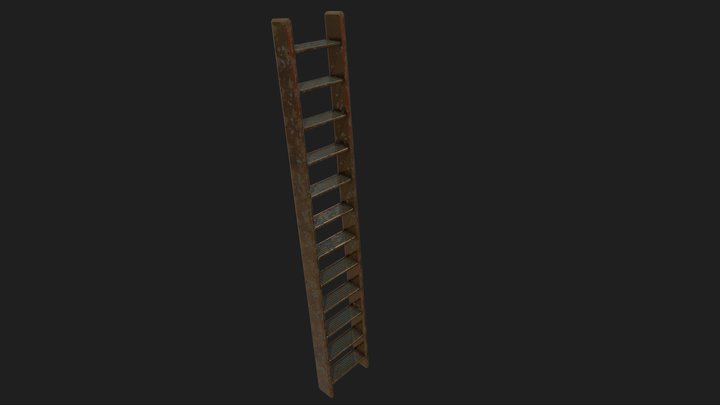 Steampunk Ladder 3D Model