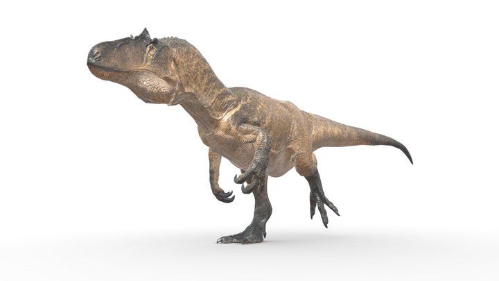 Allosaurus: The Isle (Rigged & Paleo Accurate) 3D Model