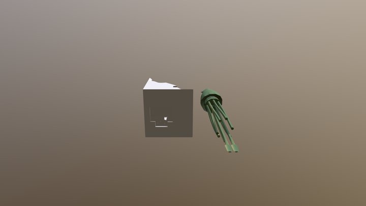 Squid Test 3D Model
