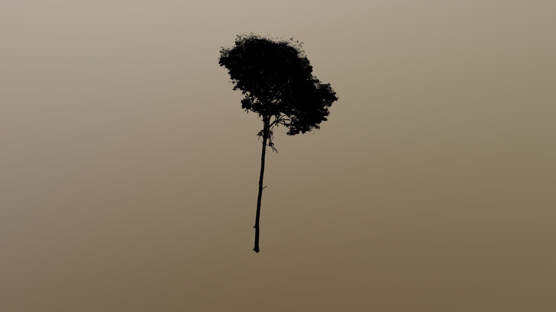 Single tree model - Amazon rainforest