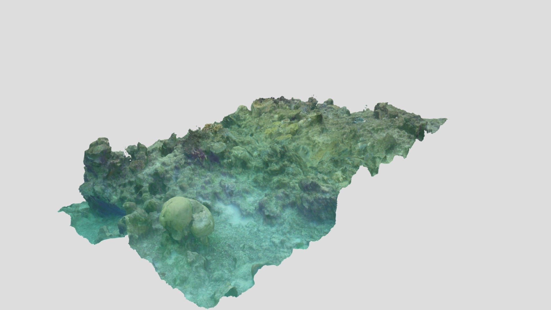 Double Reef - Palau (tr3.4.5 2018) - 3D model by 3Dreefs [9a187c4 ...