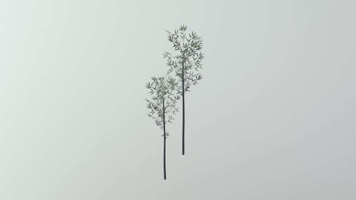 STF3d Bamboo02 3D Model
