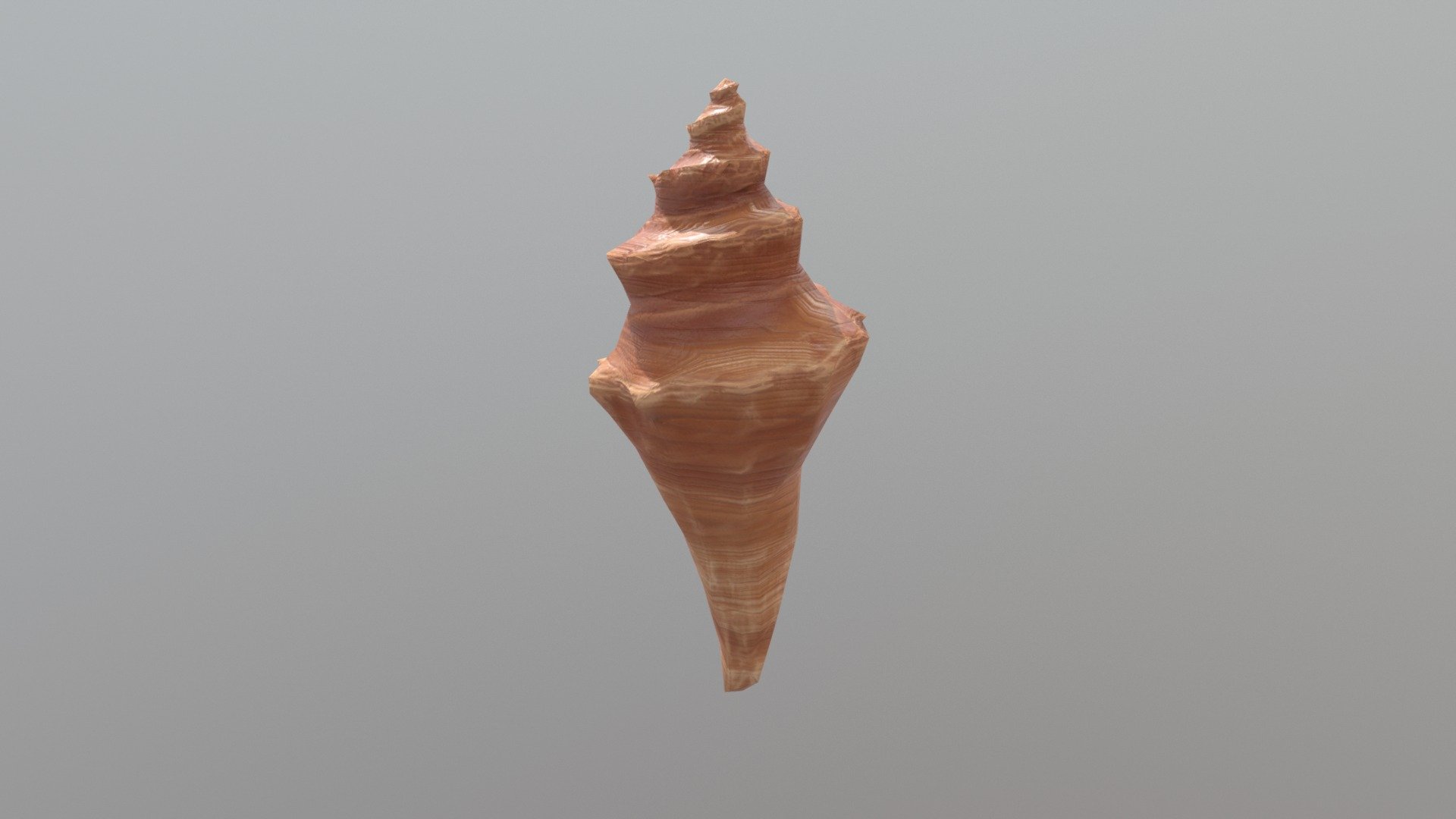 small conch prop