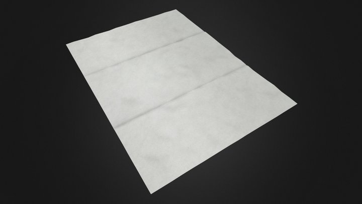 Folded Wrinkled Paper 3D Model