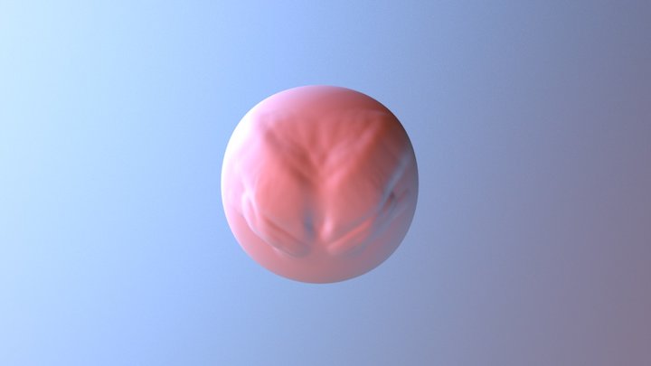 My model 3D Model
