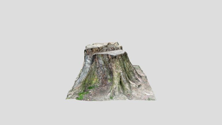 TreeStump_LiDARScan 3D Model