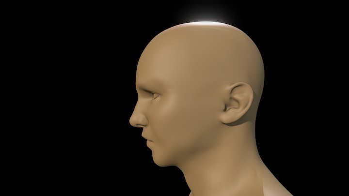 Cabeza 3D Model