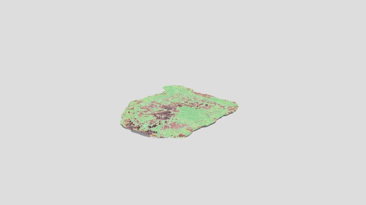 DEM_ICR_exagero10x 3D Model