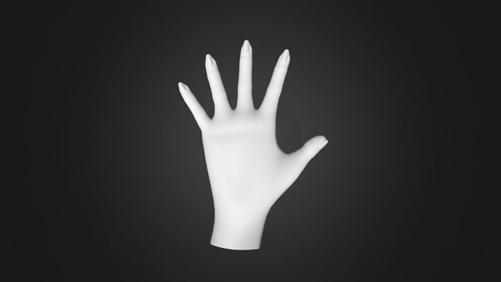 Woman Hand 3D Model