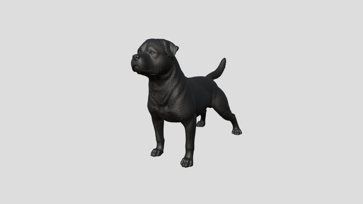 Rottweiler Dog 3D Model